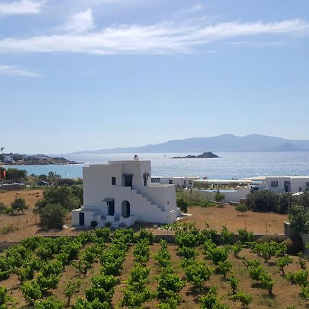 Matina Naxos - Mikri Vigla Guest House Room photo