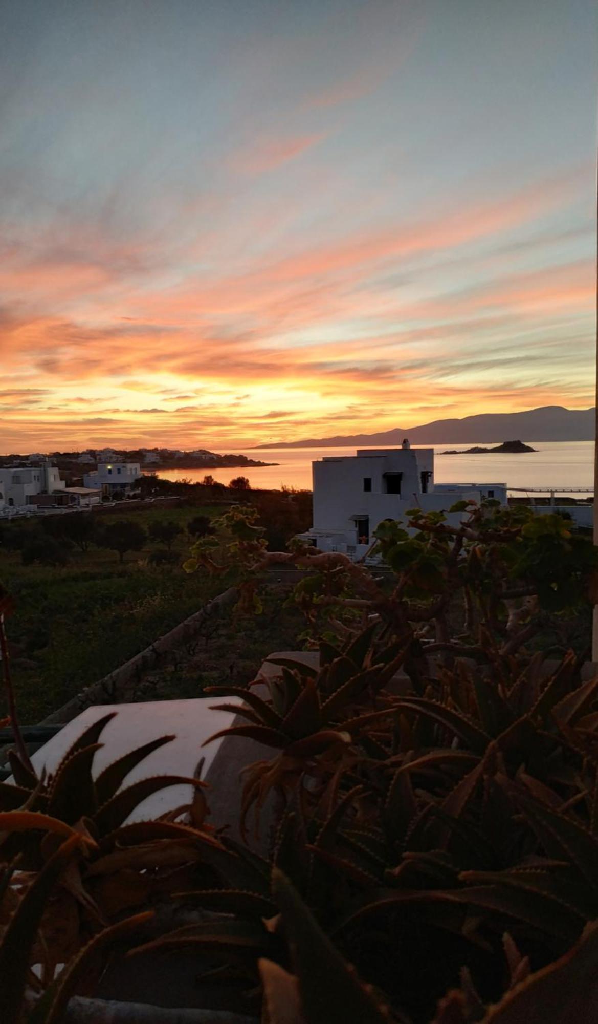 Matina Naxos - Mikri Vigla Guest House Room photo