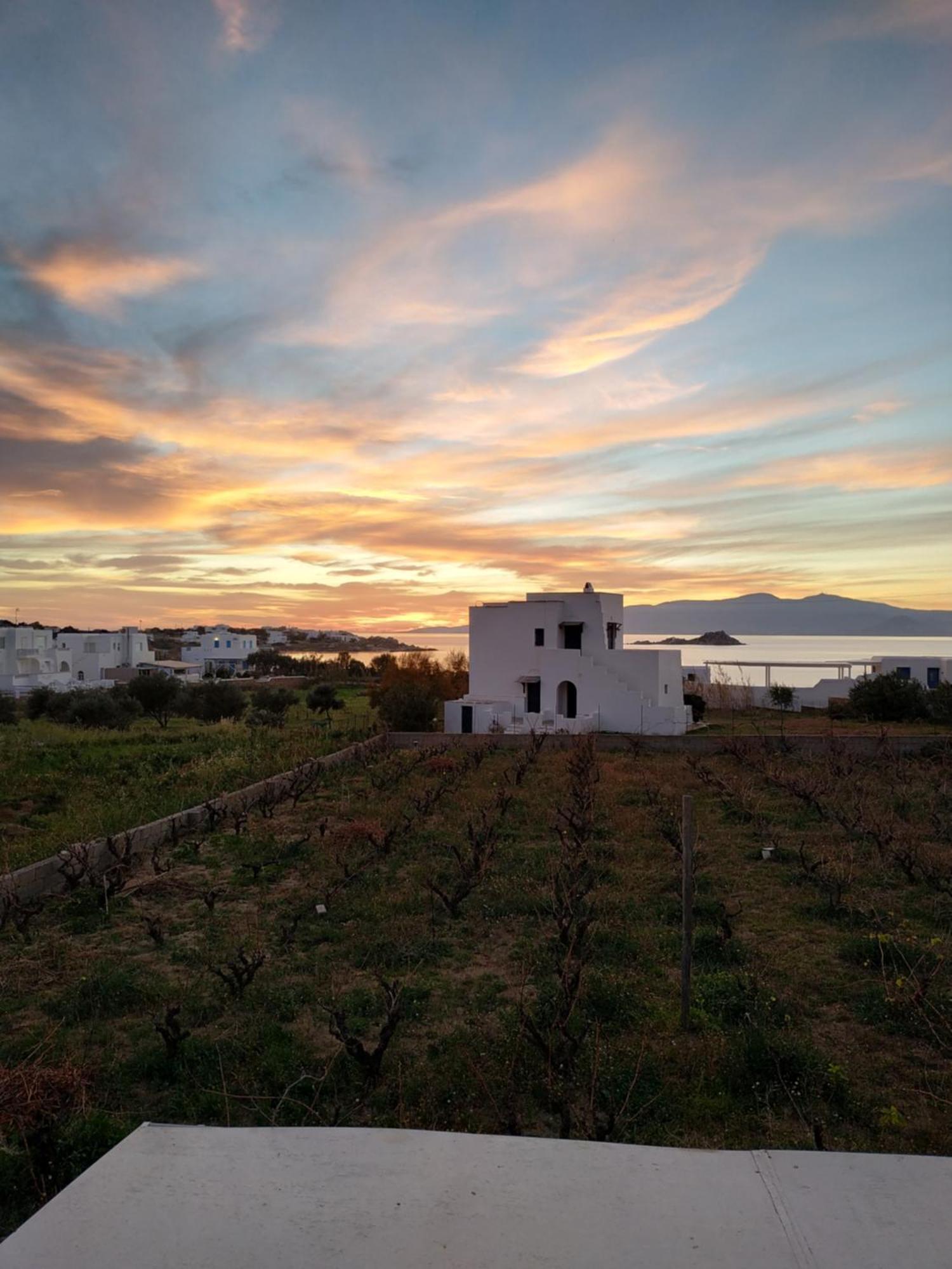 Matina Naxos - Mikri Vigla Guest House Room photo